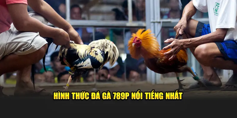 Hình thức đá gà 789P nổi tiếng nhất